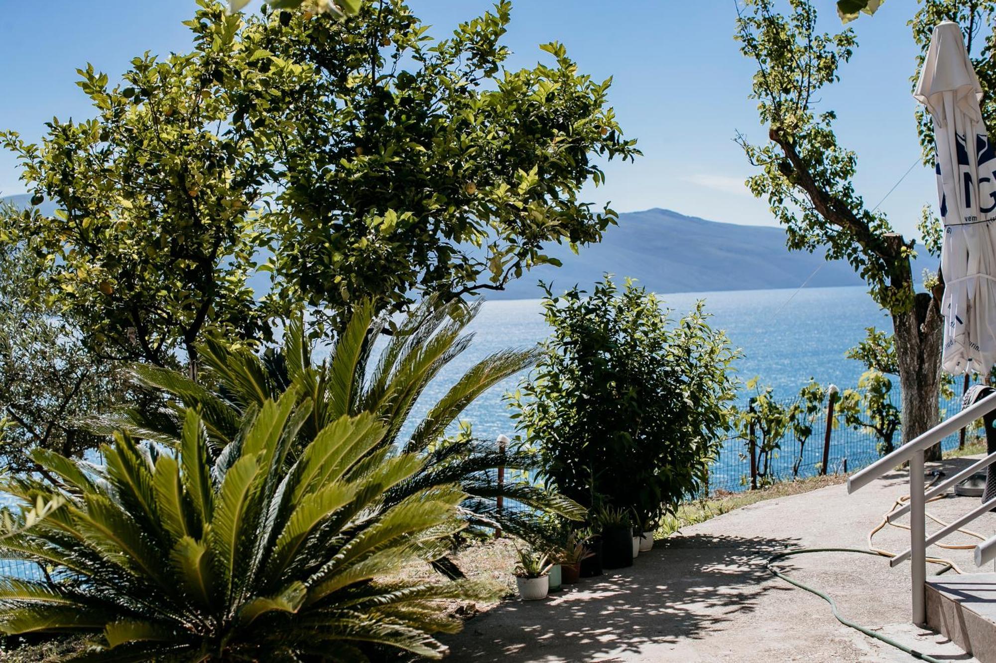 Villa Del Mar Kanine Exterior foto